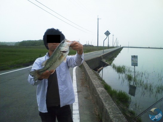 ブラックバスが釣れる野池は 探し方 攻略法 おすすめルアーを紹介 バス釣り入門 Feat 釣活