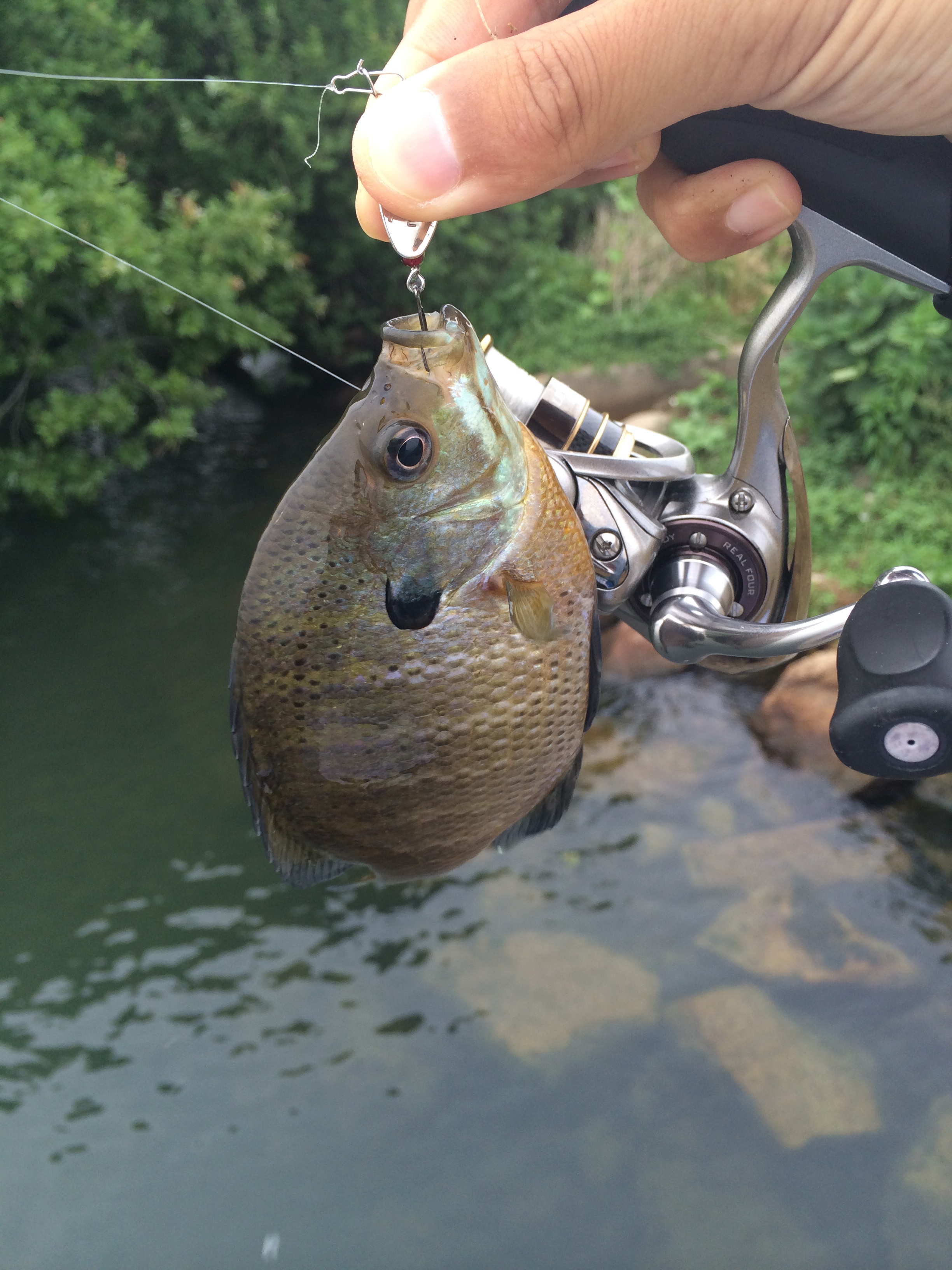 琵琶湖へ行ってみた ルアーフィッシングの 釣活