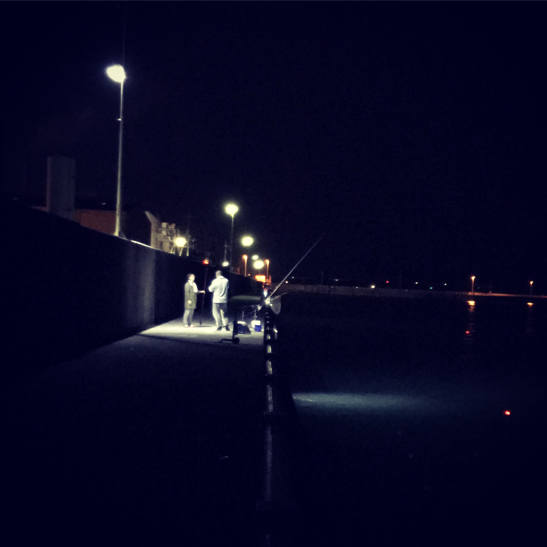 夜釣り入門 ルアーフィッシングの 釣活