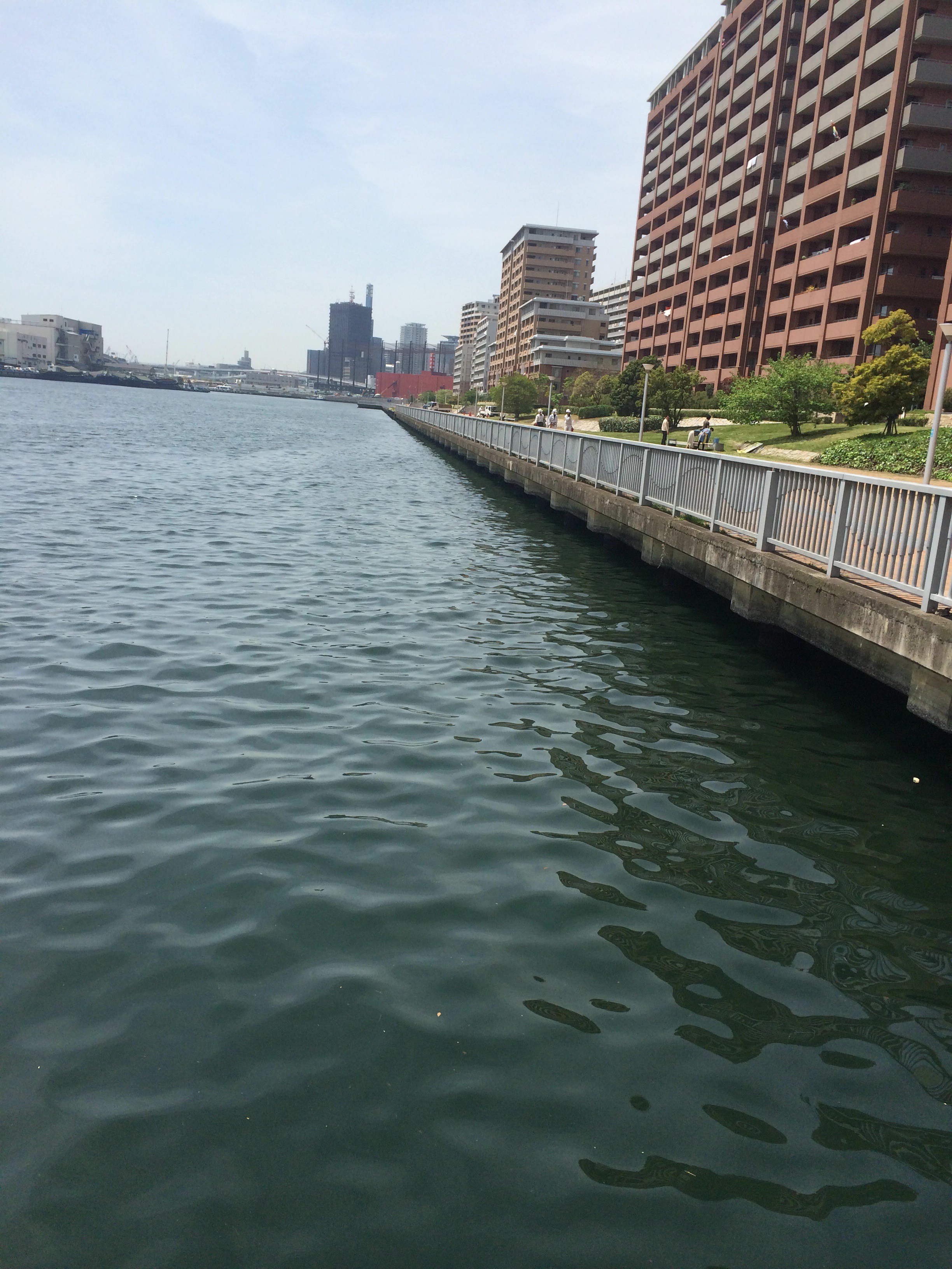 神戸周辺のポイント偵察 ルアーフィッシングの 釣活